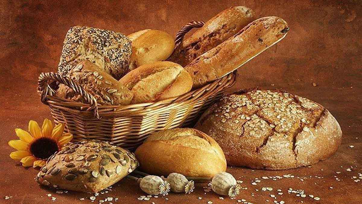 ▷ Los 100 dichos y refranes más populares acerca del pan | 2023