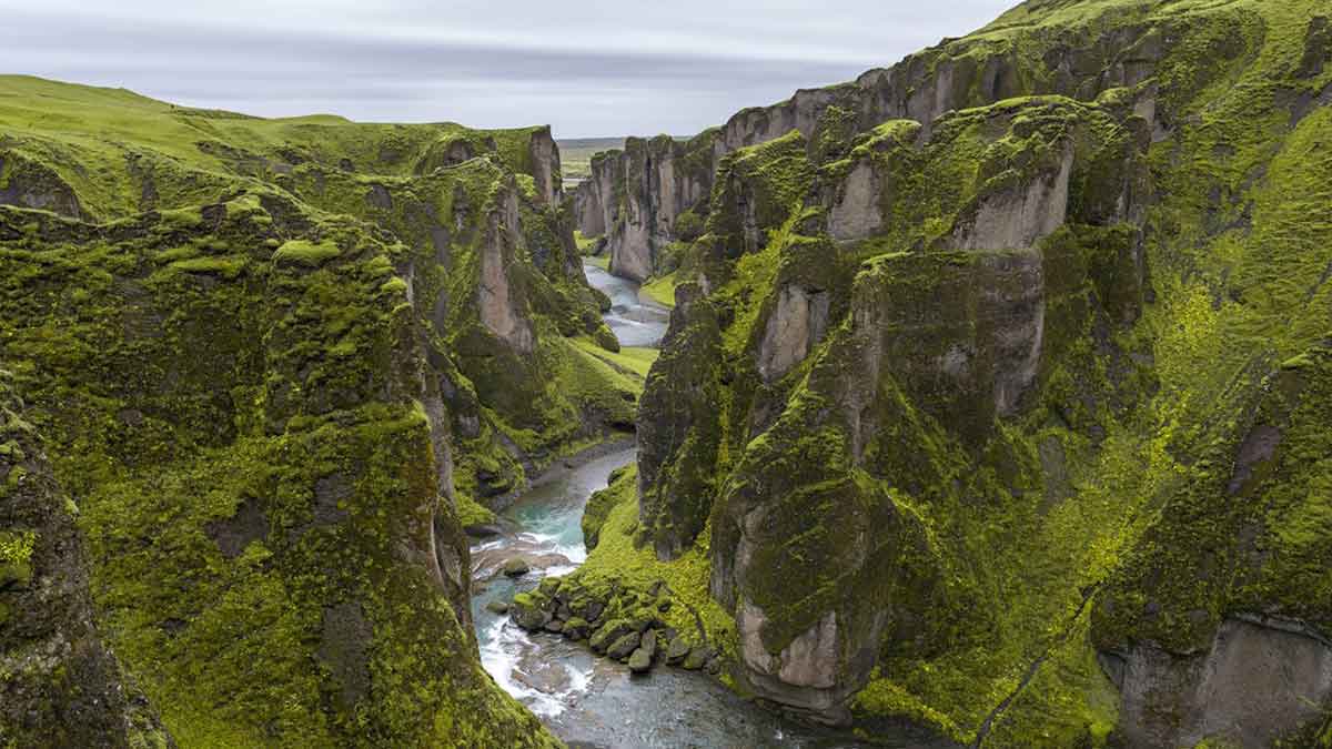 El café de la historia - Refranes de Islandia